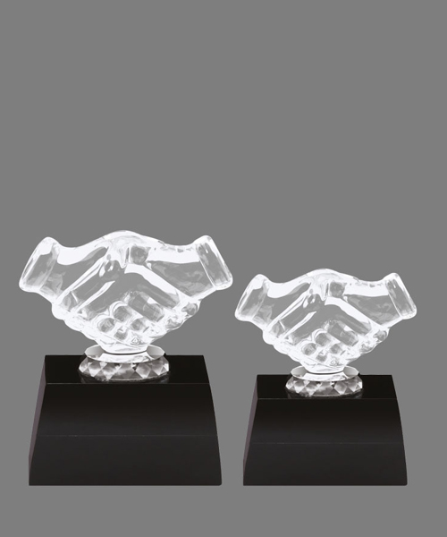 Acrylic Trophies in Pune