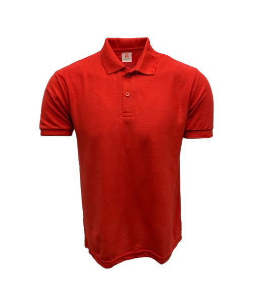 Polo T-Shirts in Gurugram