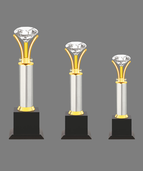 Trophies & Awards in Gurugram