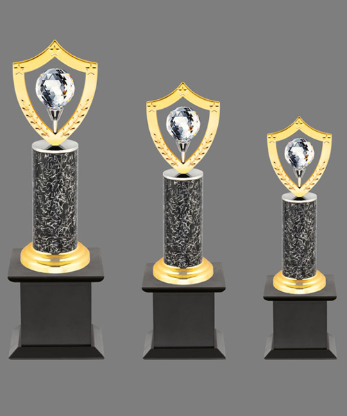 Trophies & Awards in Gurgaon