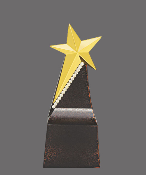 Metal Trophies Manufactures in Pune