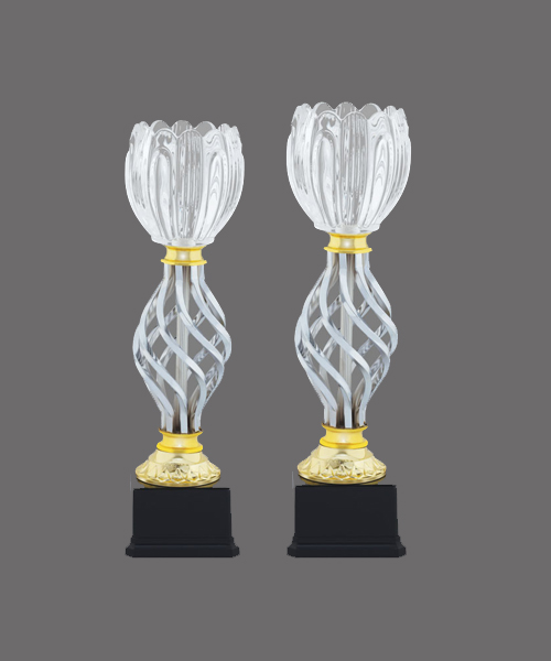 Crystal Trophy In Wholesale Price in Gurugram