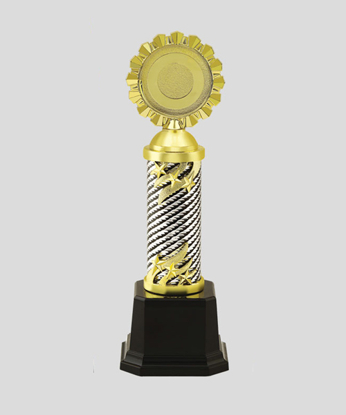 Metal Trophy in Gurgaon