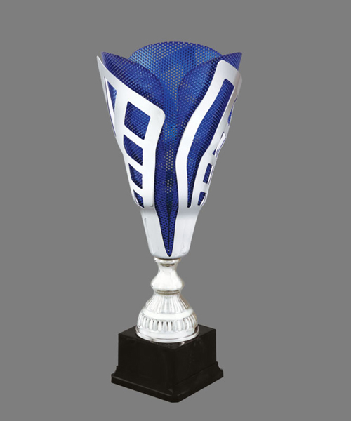 Trophies & Award Manufacturer in Noida