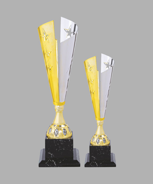 Metal Trophy in Bangalore