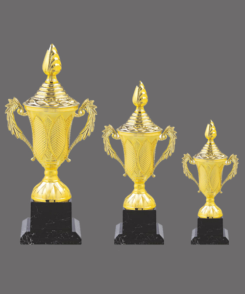 Trophies & Award Manufacturer in Gurgaon