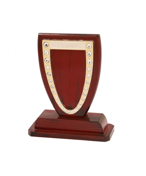 Wooden Trophy in Kolkata