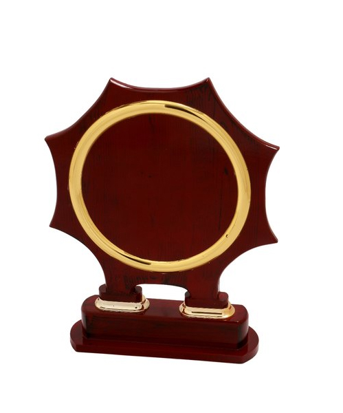 Wooden Trophy in Pune