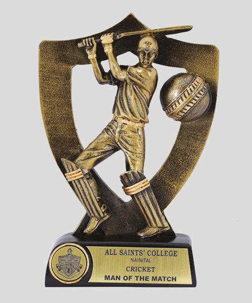 Sports Trophy Manufacturers in Ahmedabad